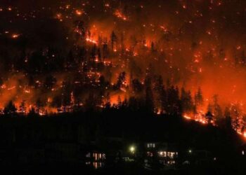 UN Calls on TRNC to Withdraw Security Forces from Neutral Zone