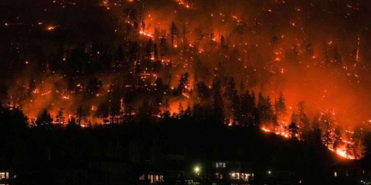 UN Calls on TRNC to Withdraw Security Forces from Neutral Zone