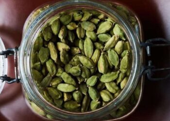 Trans bireylerin kadınlar satranç turnuvasında yarışması yasaklandı