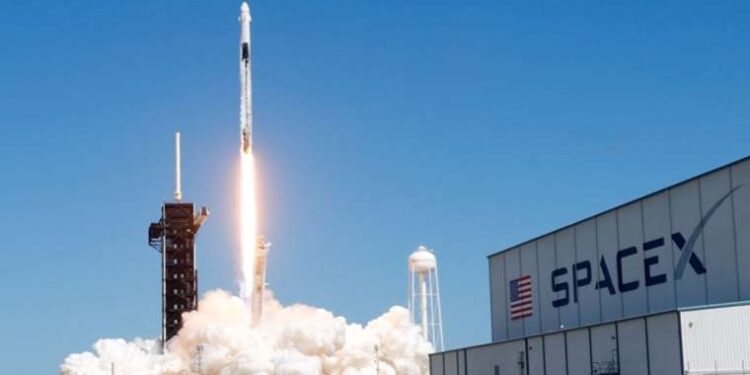 Yasadışı balık avlayanlara ceza yağdı!