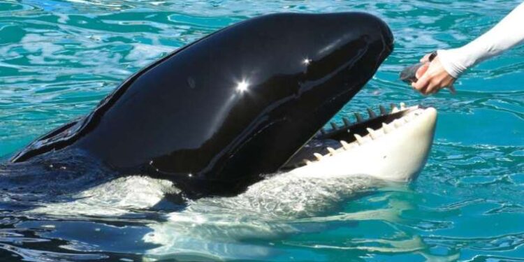 Batman’da otomobil devrildi: 1 ölü, çok sayıda yaralı!