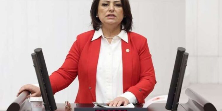 CHP'li Müzeyyen Şevkin'den 'emekli maaşı' isyanı: 'Tek adam rejimi resmen 'öl' diyor!'