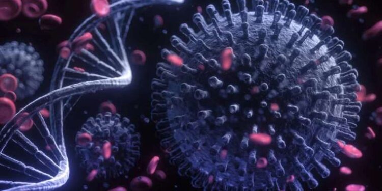 Ordu’da işçileri taşıyan minibüs ile otomobil çarpıştı: 17 yaralı