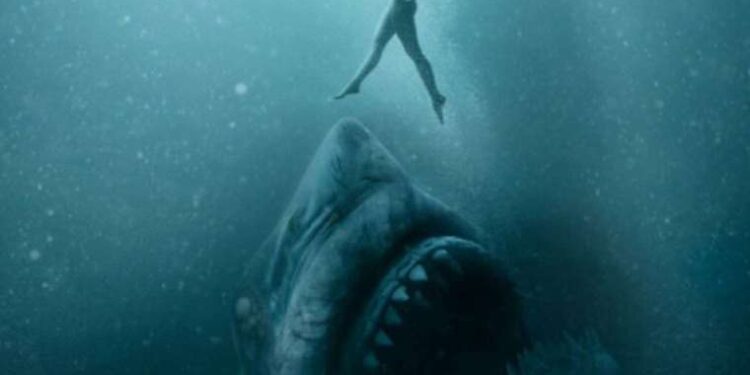 Çöpe atılacak kitaplarla sınava hazırlanıp derece aldılar!