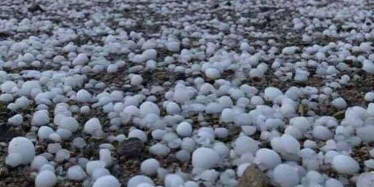 ABD’de üniversitedeki silahlı saldırıda öğretim görevlisi öldü