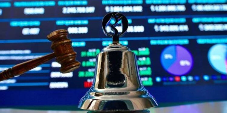 Yılın en büyük halka arzı