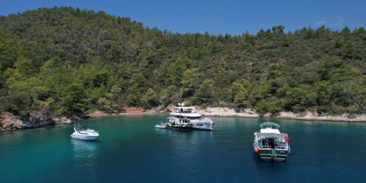 Erkek fare beyninde cinsel davranışı düzenleyen bir nöron sistemi keşfedildi