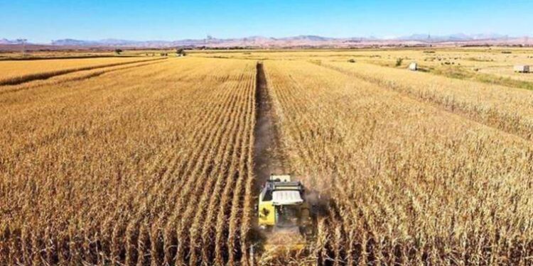 Ukrayna’nın yeni Savunma Bakanı Rustem Umerov kimdir?