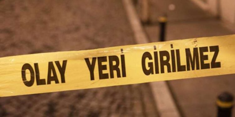 Avustralya ve Yeni Zelanda birleşme hazırlığında: Kampanyalar başladı