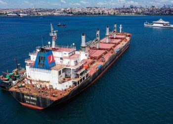 Alman basını: Rusya, Türkiye ve Katar yeni bir tahıl anlaşması hazırlıyor