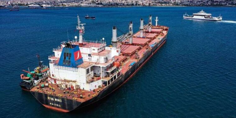 Alman basını: Rusya, Türkiye ve Katar yeni bir tahıl anlaşması hazırlıyor