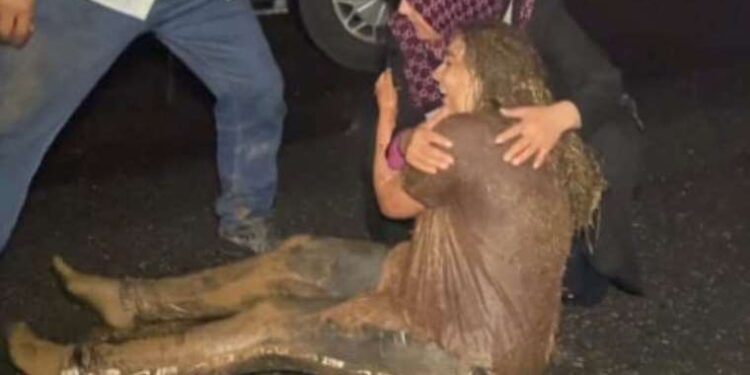 Bu sefer kurallara uyduğu için oldu: Yayaya yol verdi, 3 otomobil birbirine girdi