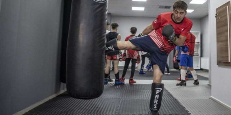 ‘Dev’ iğneli yeni bir yaban arısı türü keşfedildi