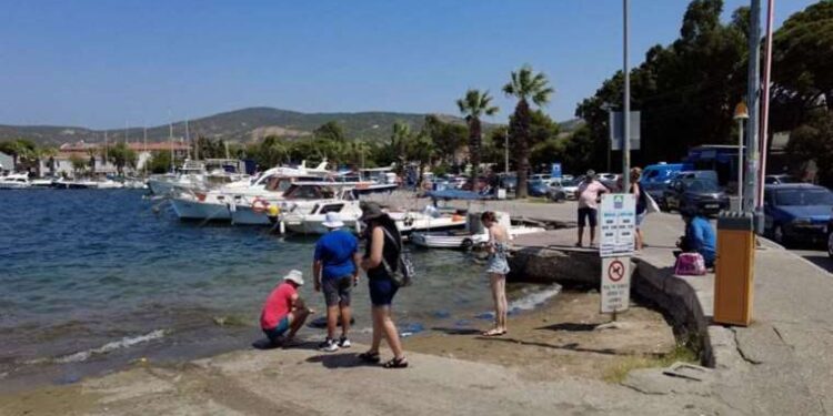 Foça’da turizmi denizanası vurdu, plajlar boş kaldı