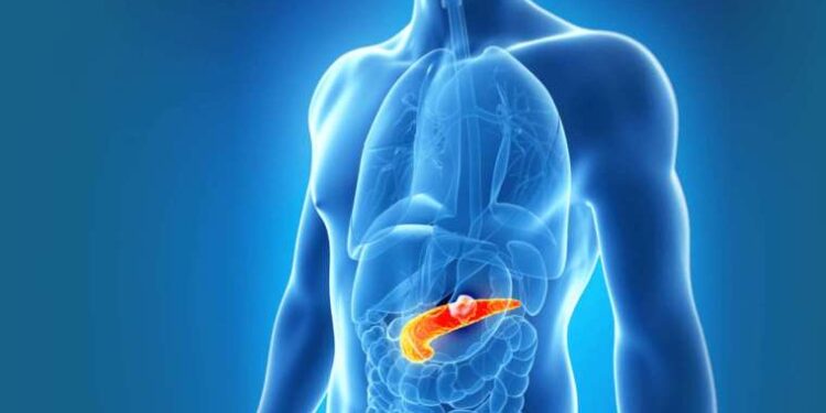 Meyan bitkisi, Pankreas kanseriyle mücadele etmeye yardımcı olabilir