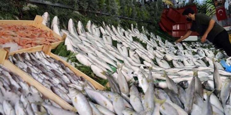 Balık çeşidi az olunca fiyatlar yükseldi: Kilosu 500 lira!