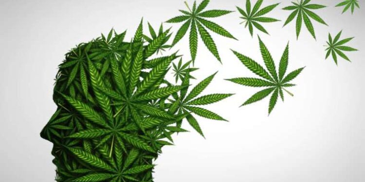 Hint keneviri tüketiminin dakika dakika etkileri