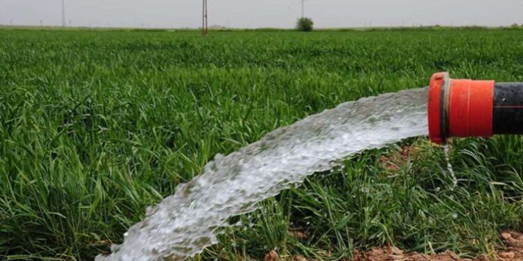 Evrim Karakoz: İktidar çiftçiyi küstürmek için her yolu deniyor