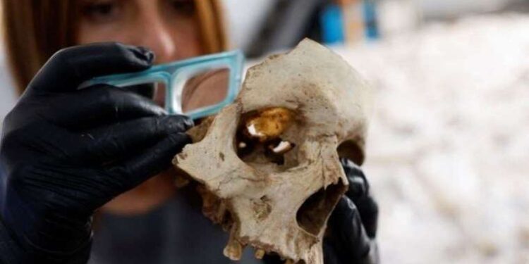 Ice age wiped out early humans in Europe