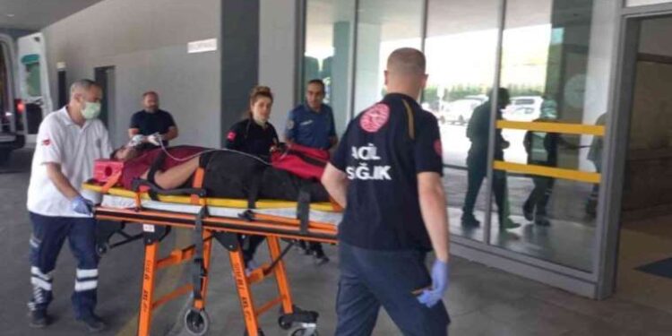 O da yurttaşların elinden alındı: Dünyaca ünlü plaj Rizeli iş insanına verildi!