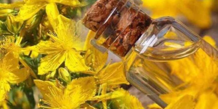 Bir kadın cinayeti daha: Eşi tabancayla öldürdü!