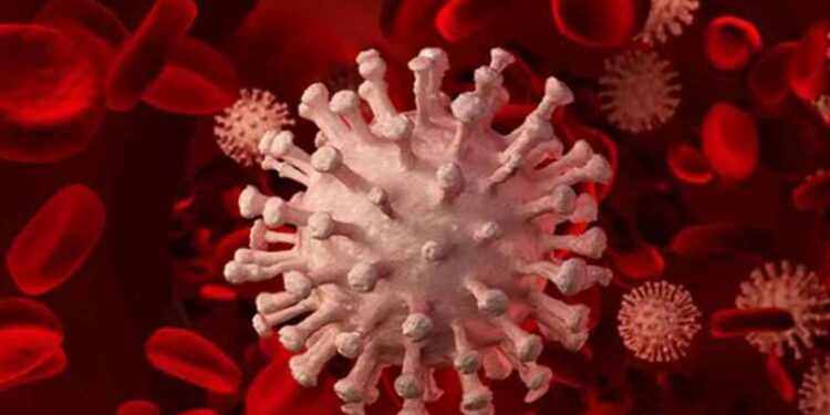 Uzmanları anlattı: Sepsis her 5 ölümden birini oluşturuyor!