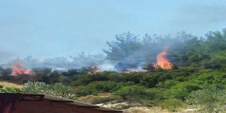 Konya’da ayakkabı hırsızlığı: Önce kokladı, sonra çaldı
