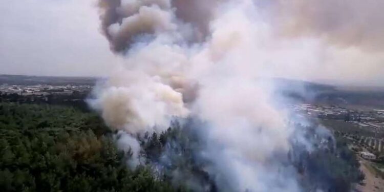 Kemerlerinizi bağlayın, MG Cyberster geliyor: 3.7 saniyede 100 kilometreye çıkan elektrikli