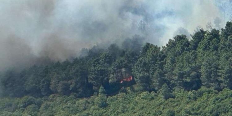 Mahkeme yürütmeyi durdurdu: HES projesinde inşaat sürüyor!