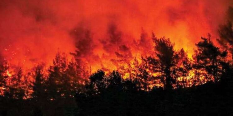 Orman yangınları kalp krizini tetikliyor!