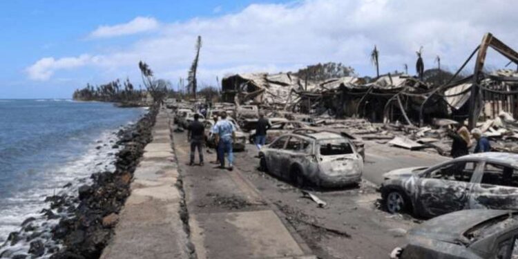 ‘Heartbreaking’ Hawaii wildfires fueled by deadly mix of nature’s forces