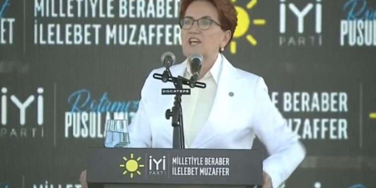 İstanbul’da Pitbull saldırısı… Köpeğin sahipleri yakalandı!