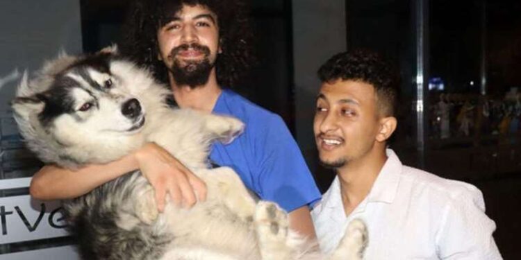 Azerbaijan rejects French allegations of blockading Lachin road