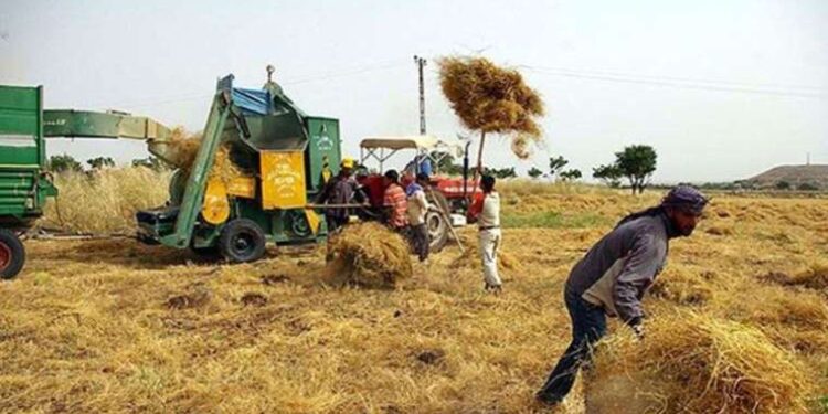 Tarım sektörü Cumhurbaşkanı yardımcısı Cevdet Yılmaz'a dert yandı
