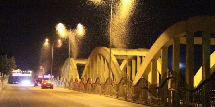 Sakarya’da “ölüm uçuşu” başladı