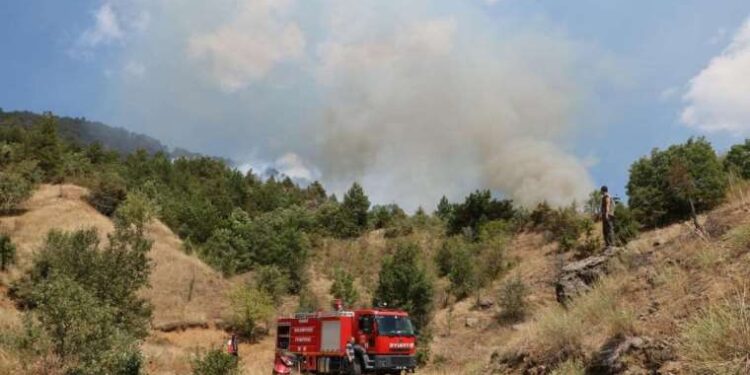 Çinli telefon şirketi yeni cihazı Vivo V29e 5G’yi tanıttı: Cam arka kasası ile geliyor