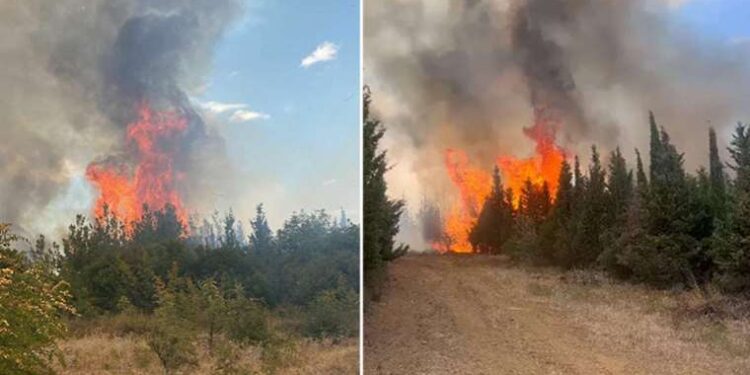 Mardin’de akraba iki aile arasında kavga: 12 yaralı