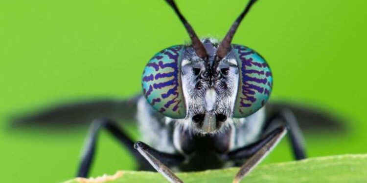 İngiltere Sağlık Bakanı, sığınmacı gemisindeki bakteriden geç haberdar olduklarını söyledi