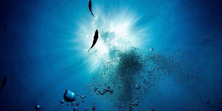 80 yaşındaki baba arazi kavgasında ‘av tüfeğiyle’ oğlunu öldürdü