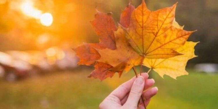 Ekim ayında mutlaka yapılması gereken 8 aktivite