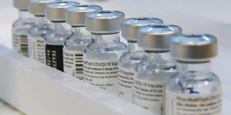 Kaş Yat Limanı’nı betonlaştıracak teklif reddedildi