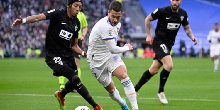 Binlerce yıllık mumyalanmış arılar bulundu