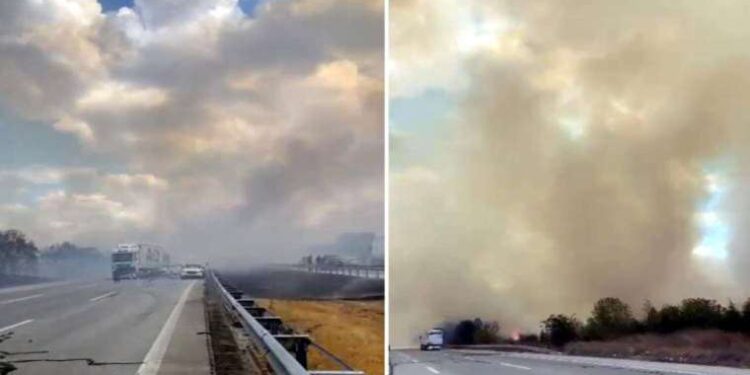 Yer Adana… Evden 20 ton çöp çıktı, sahibi ‘Yapmayın, bunlar yılların emeği’ dedi