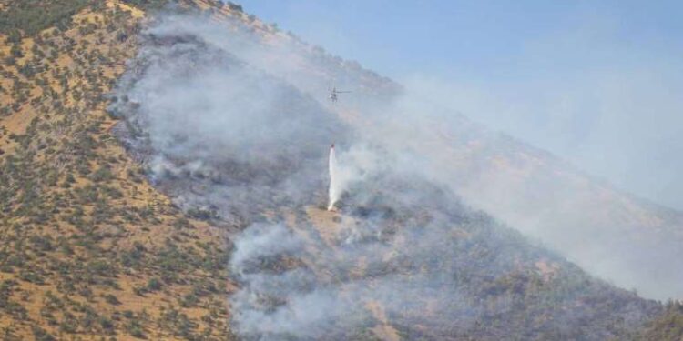 Google Chrome’un 15’inci yılına özel yeni özellikler sunuldu