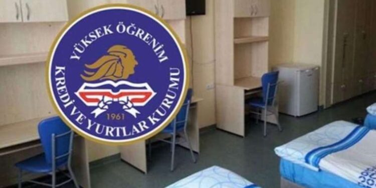 ‘Başıboş köpek değil başıboş çocuk sorunu var’ diyen kadına gözaltı