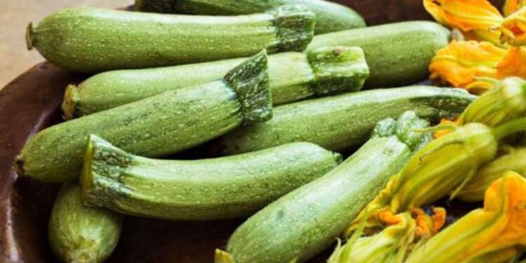 Düşük kalorili ve besleyici: Bu sebze diyetlerin baş tacı