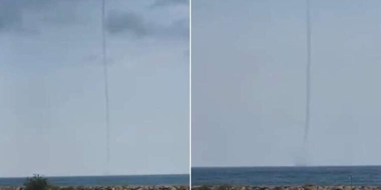 German carmakers urged to ‘reduce dependencies’ on individual markets