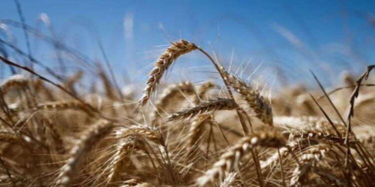 Dollar drops after US inflation data, jobless claims