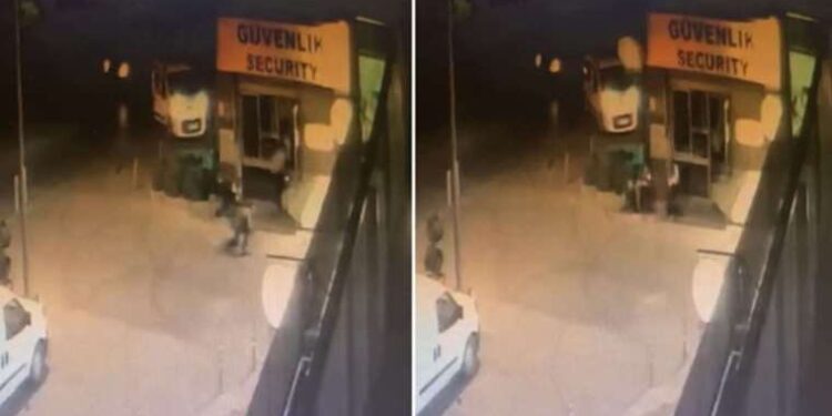 Hindistan’da G20 Liderler Zirvesi öncesi ‘maymun’ önlemi