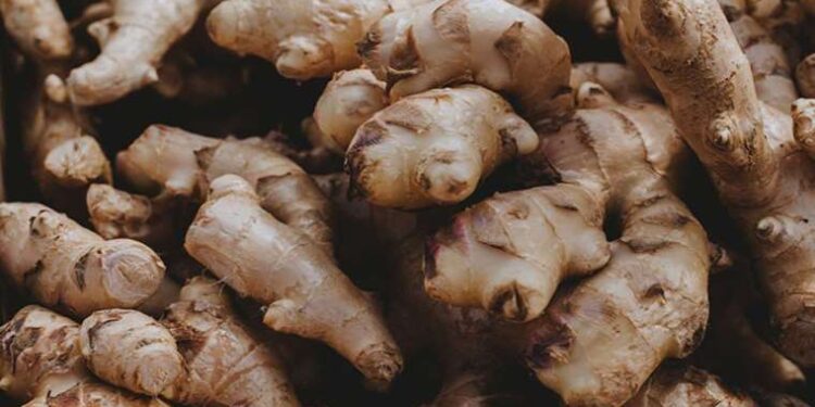 Her derde deva olan doğal çay: Karın ağrınızı 1 bardak ile çözün